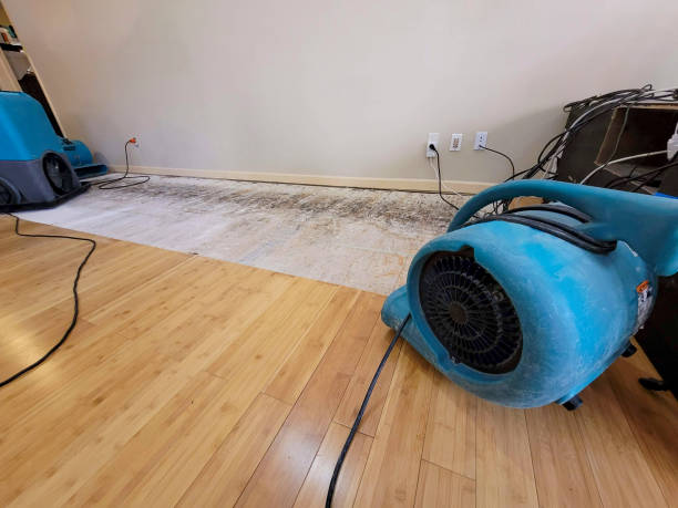 Professional Water Damage Repair technician working in Temecula, CA